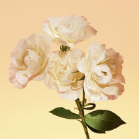 ETERNITY  100ml-55189 ETERNITY  100ml-55189 5